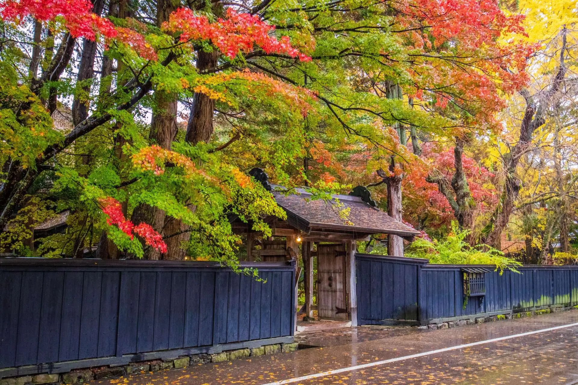⛩️ 만송산 텐네이지 (萬松山 天寧寺) 이미지 8